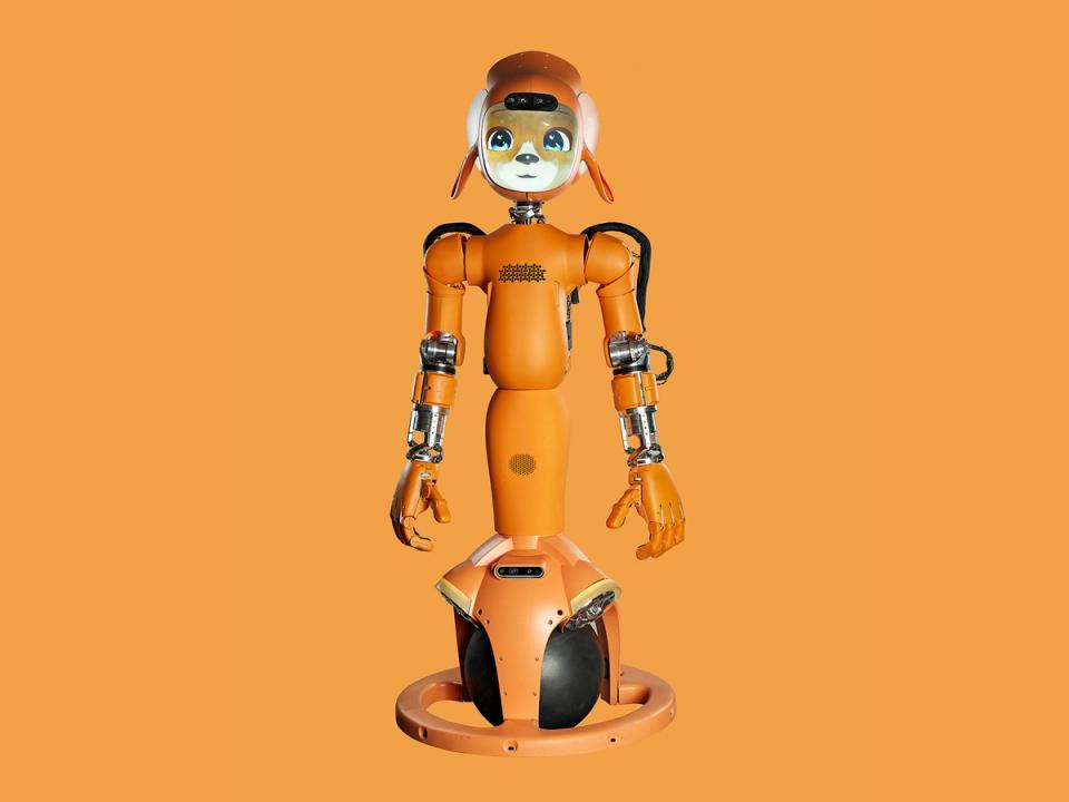 Mirokaï, an orange humanoid robot, with two large pointed ears and an animal face displayed on a screen. It's lower half is a black ball that it balances on.