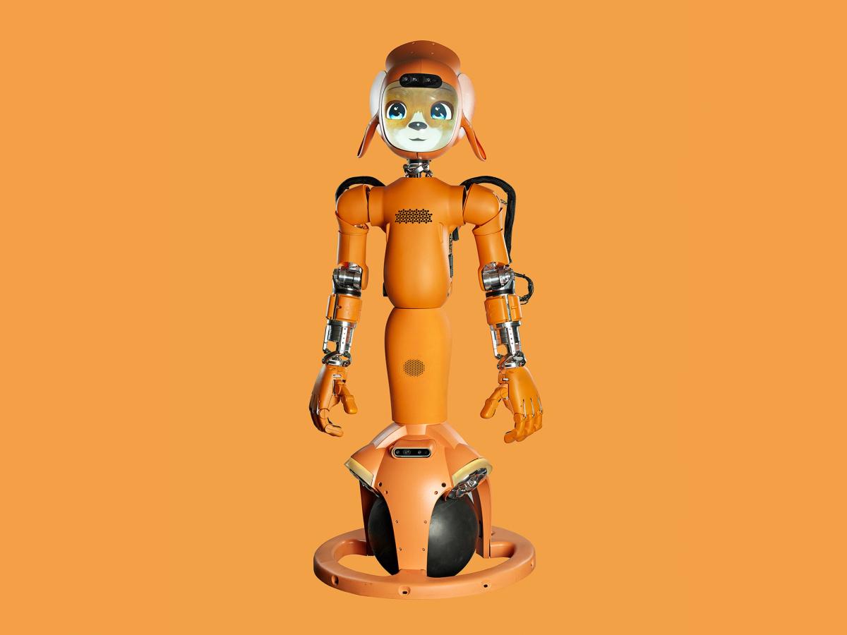 Mirokaï, an orange humanoid robot, with two large pointed ears and an animal face displayed on a screen. It's lower half is a black ball that it balances on.