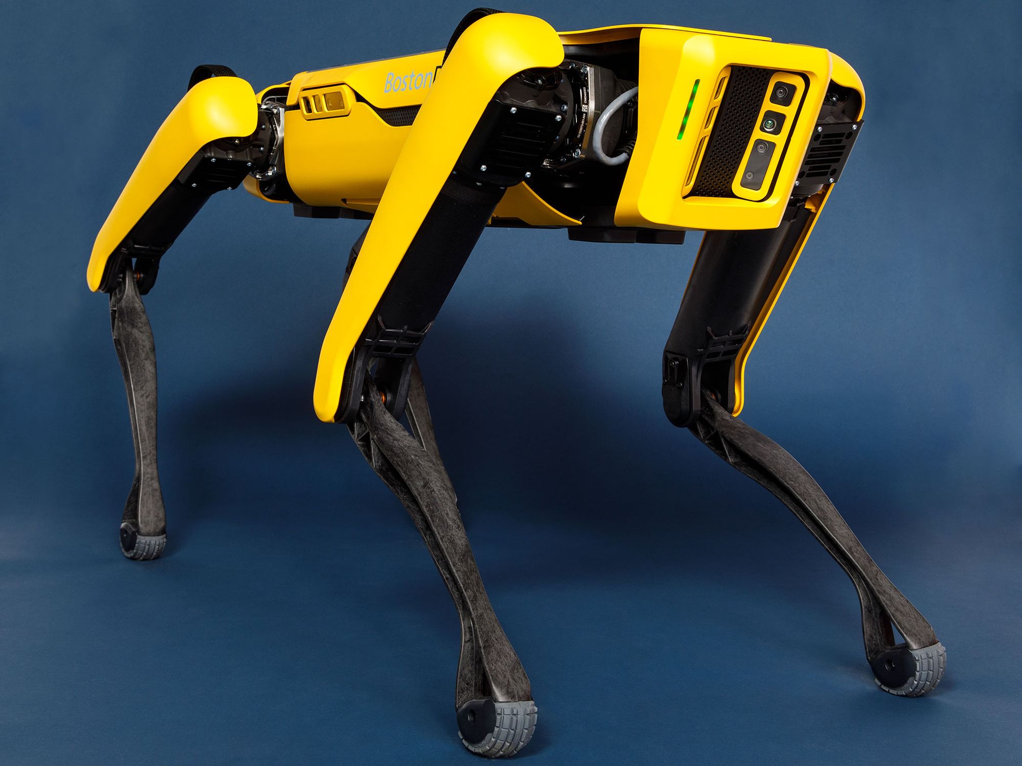 Boston Dynamics Spot Robot Dog