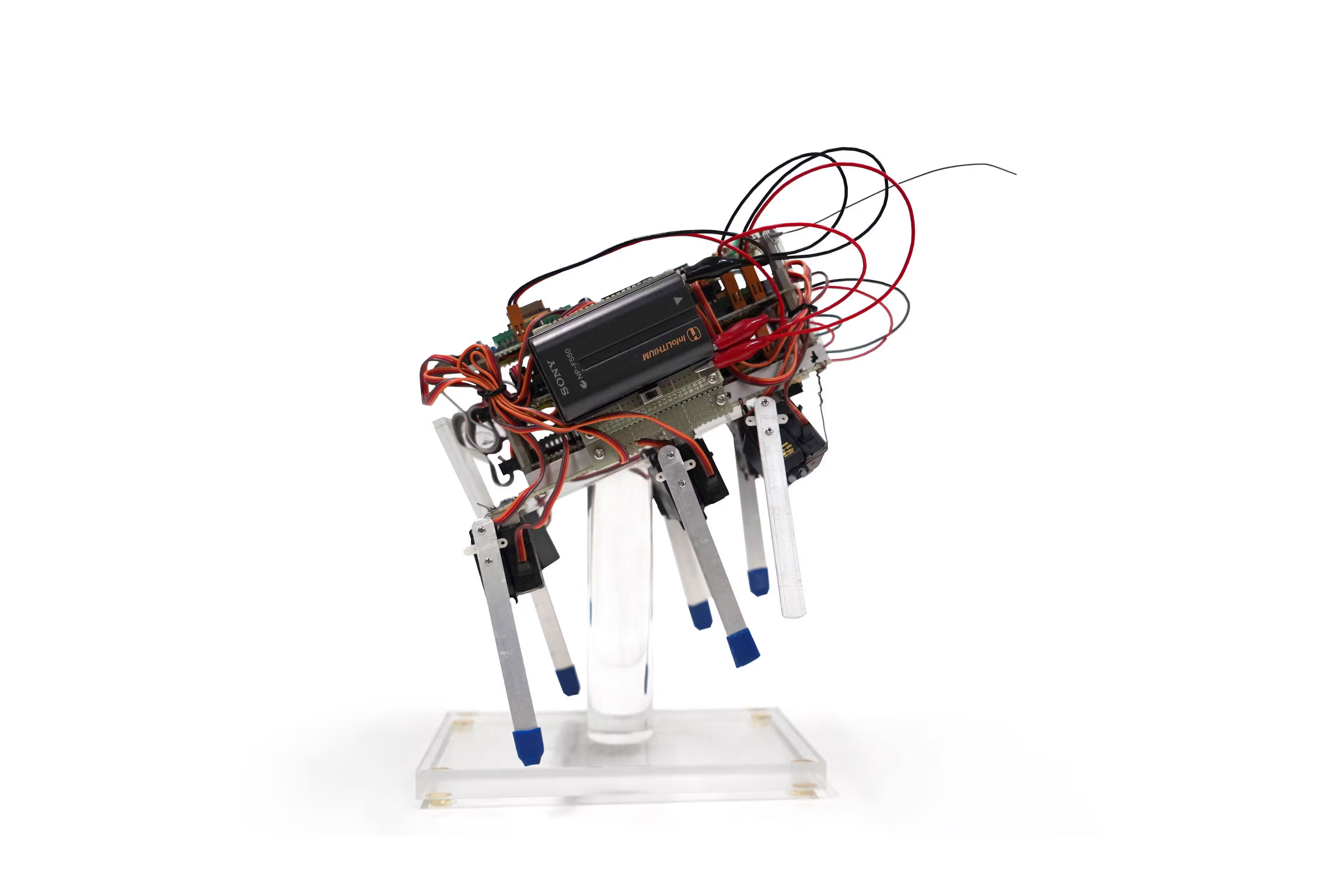 First prototype of Aibo, a six-legged walker with antenna-like sensors